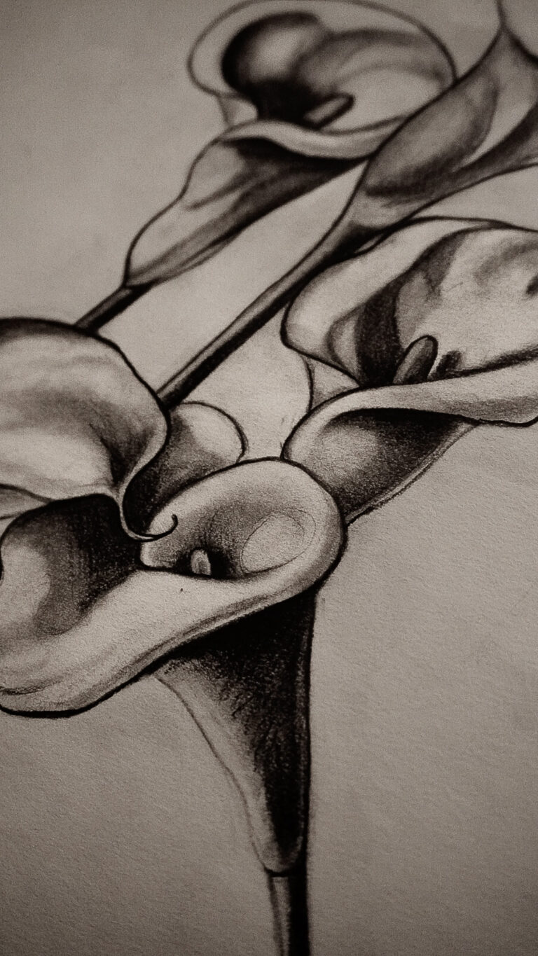 Dessin d'Arums réalisé par Tamara Chaudesaigues, inspiration Tamara De Lempicka