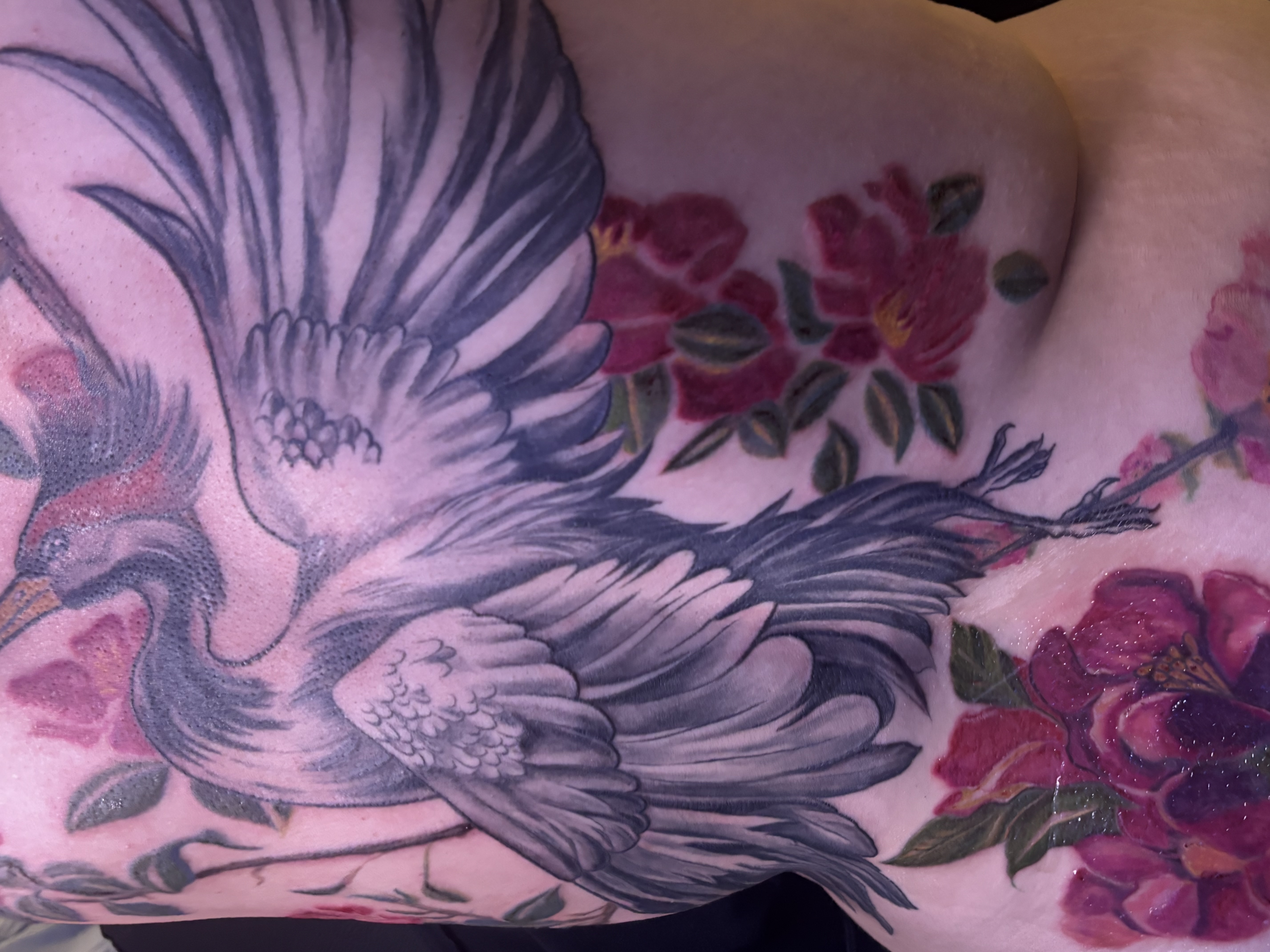 Comment choisir son tatoueur ? Critères essentiels 
Détail tatouage dos grue art nouveau tatoueuse