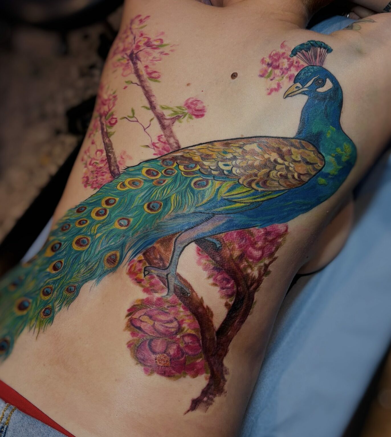 tatouage paon en couleur sur le dos avec composition inspirée de l’art nouveau