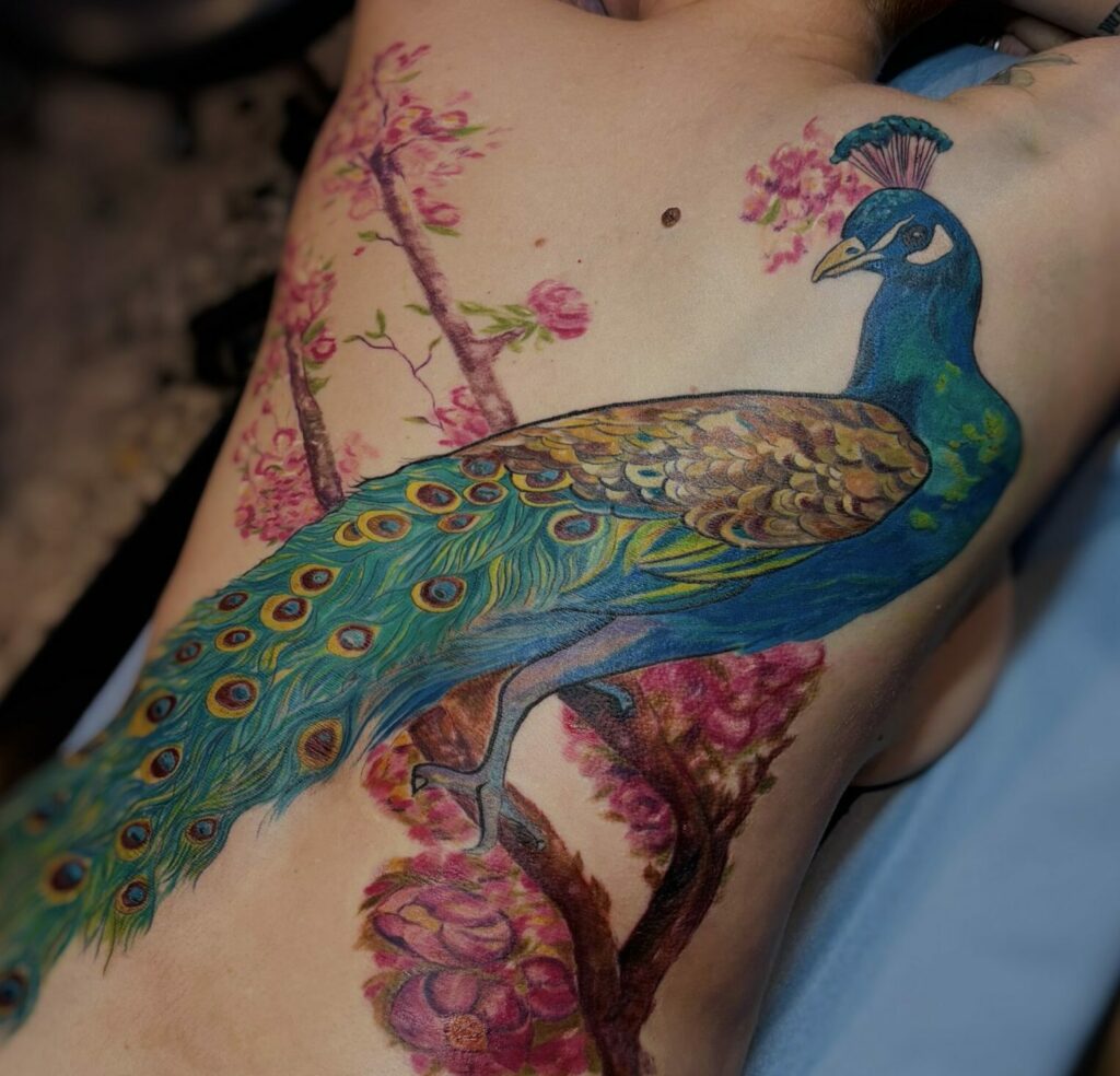 tatouage paon en couleur sur le dos avec composition inspirée de l’art nouveau