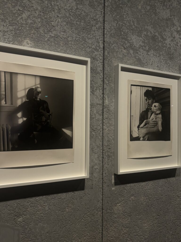 Two black-and-white portraits on display in the David Armstrong exhibition at LUMA Arles
